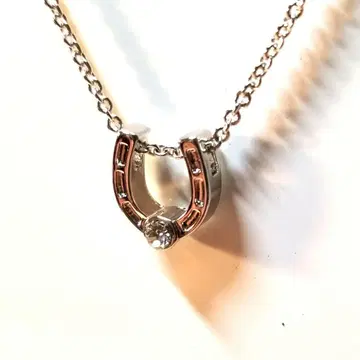 말굽 모양 목걸이