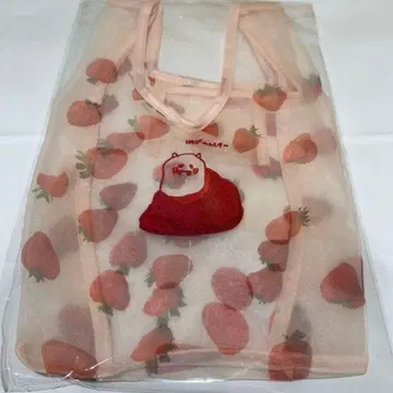 노기자카46 이케다 에레나 개인전 오리의 꿈 오간자 미니백