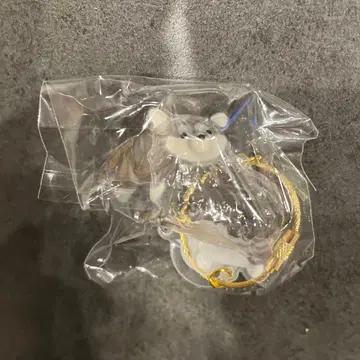 우리 집 강아지 털뭉치 치와와