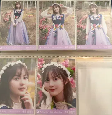 노기자카46 이쿠타 에리카 브로마이드 마지막 tighthug 컴프