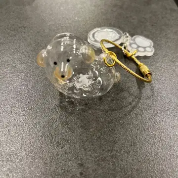 우리 집 털뭉치 강아지 털뭉치 푸들