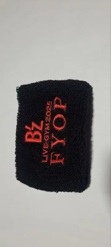 B'z LIVE-GYM 2025FYOP 리스트 밴드