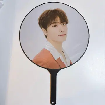 SEVENTEEN 디노 부채 BE THE SUN 피켓