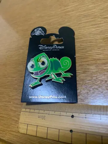 월트디즈니월드 디즈니 파크스 제작 파스칼 핀 배지