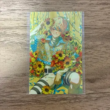 니지산지 히바치 마나 노스탤지어 컬렉션