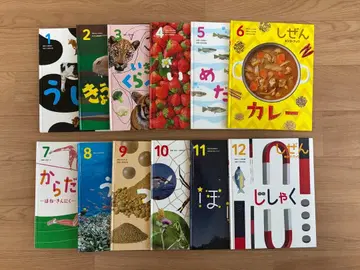 전 12권 자연 그림책 세트