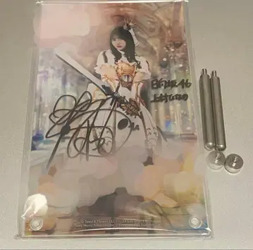 히나타자카46 우에무라 히나노 친필 사인 아크릴 아트 패널 히나 도서