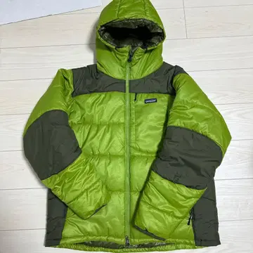 Patagonia 다스 파카 게코 그린 투톤