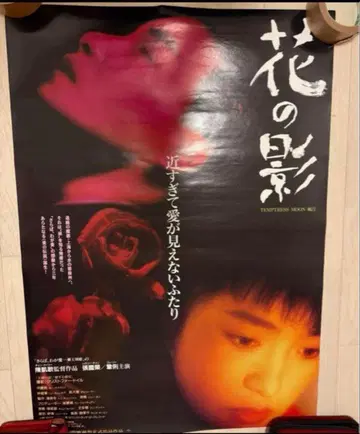 [ 초레어 ] 레슬리 찬 꽃 그림자 포스터