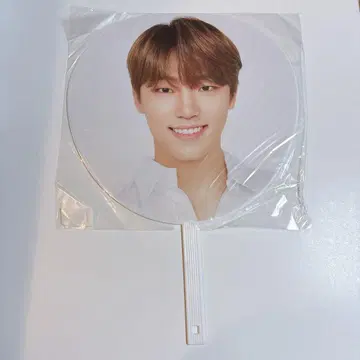 SEVENTEEN 디노 부채 일데 WE MAKE YOU 피켓