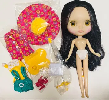 네오 브라이스 노스탤지어 팝 본체, 아웃핏, 잡화 세트