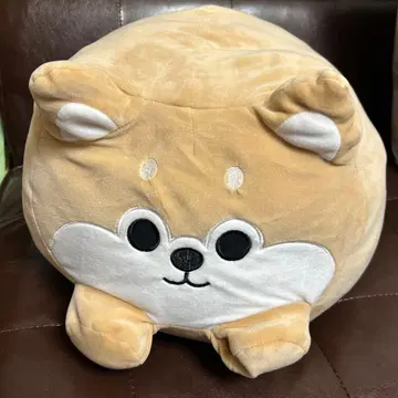 BIG 시바견 쫀득쫀득 봉제 인형