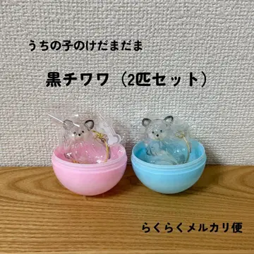 우리 아이 털뭉치 치와와 2마리 세트