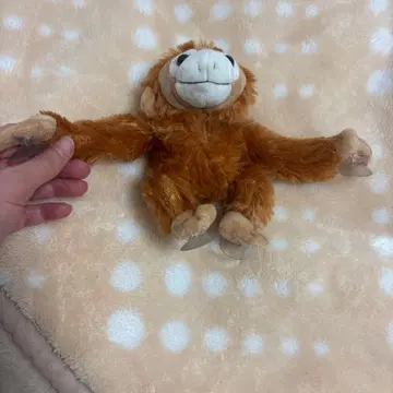 브라운 원숭이 봉제 인형 흡착판 포함