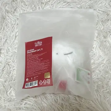 BOYNEXTDOOR 보이넥스트도어 운학 키링 팝업 운아기