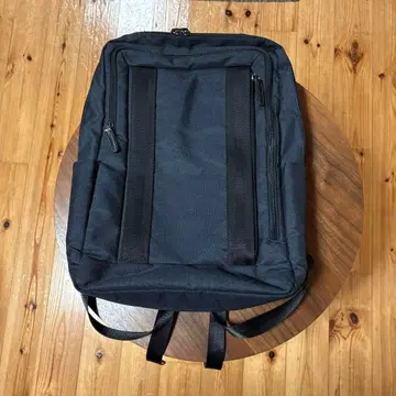 ACE Darwin 비즈니스 백팩