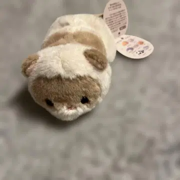 축 늘어지는 펠트 봉제 인형 페럿