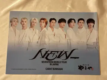 세부치 클리어 파일