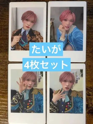 팬더 드래곤 타이거 해피카 4장 세트