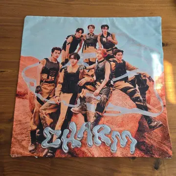 중 폰드 LYKN 쿠션 커버 GMMTV 중덩크