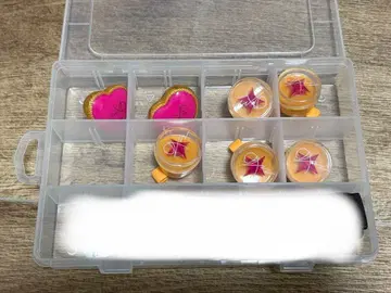 앙스타 이사라 마오 링라이트