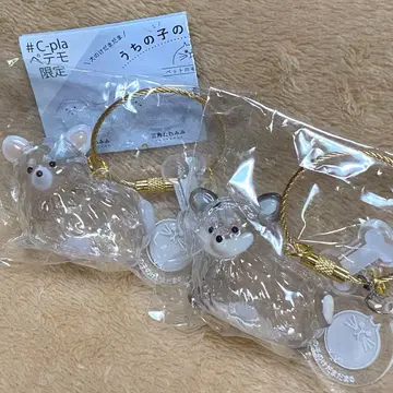 우리 집 강아지 털뭉치 치와와 한정판 모듬