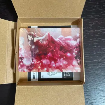 프로세카 노블 아트 시라이시 안