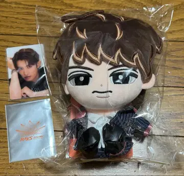 무카이 코지 BIG 봉제 인형 포토 카드 세트