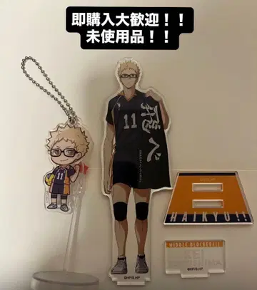 츠키시마 케이 아크릴 스탠드 하이큐!! 플라자