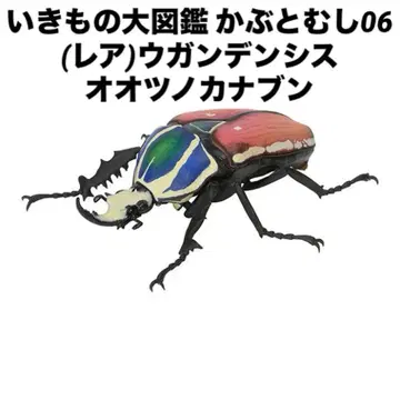 [ 미개봉 새상품 ] 생물대도감 장수풍뎅이 06 생물대도감 카브토무시