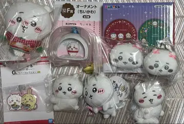 치이카와 (먼작귀) 정리