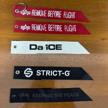 알파 Alpha 리본 키링 5개 세트