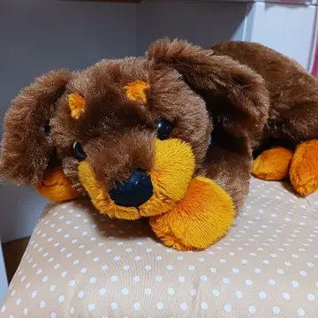 쓰다듬쓰다듬 강아지 미니어처 닥스 브라운