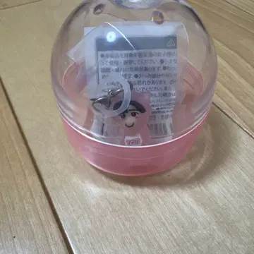 미치에다 슌스케 메지루시 참 2026 VoyAGE 1stDOME