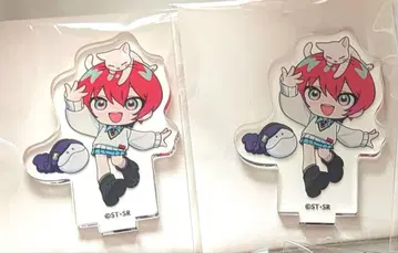 지크 액스 마네키 고양이 바닥