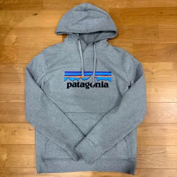 파타고니아 후드티