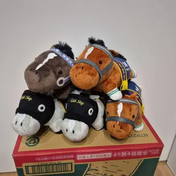 골드십 봉제 인형 4체 세트