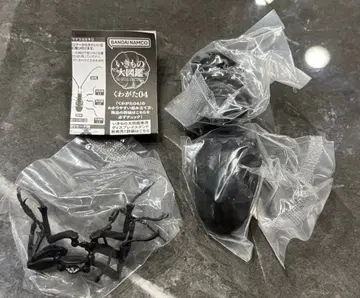 캡슐 토이 생물대도감 사슴벌레 04 [ 타란두스오오츠야쿠와가타 ]