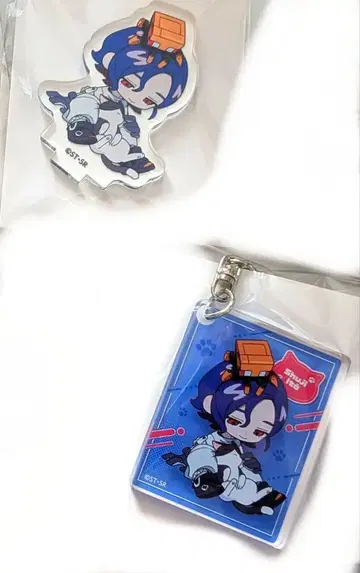 지크액스 마네키 고양이 슈지