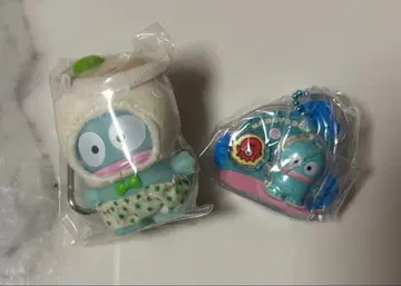 꼬물꼬물 패키지 참 한교동