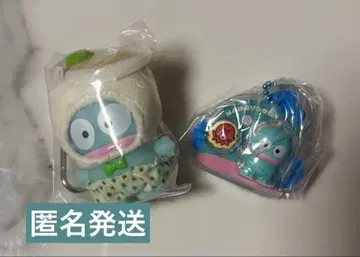 꼬물꼬물 패키지 참 한교동