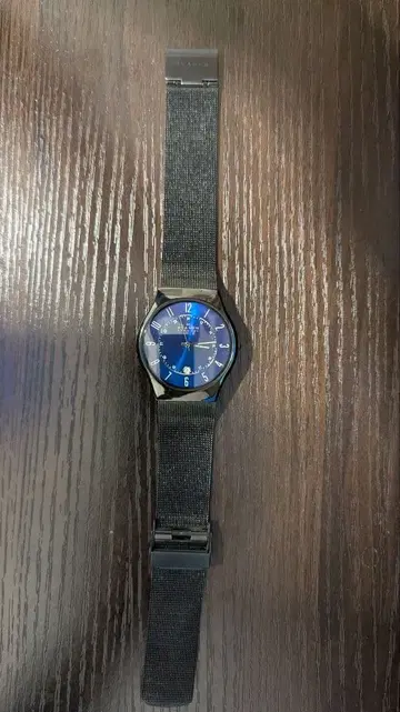 손목시계 SKAGEN 스카겐 T233XLTMN