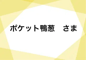 일본제 본탄 니카 2벌