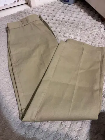 Dickies 디키즈 874 오리지널 핏 워크 팬츠 36