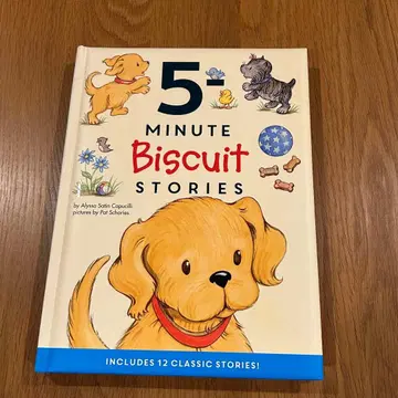 5-Minutes Biscuit Storie (하드 커버)