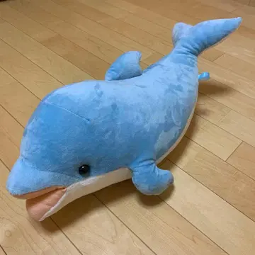 돌고래 봉제 인형