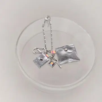 실버 파우치 ( Aurora )