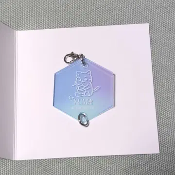 &TEAM CAFE 이어지는 참 YUMA