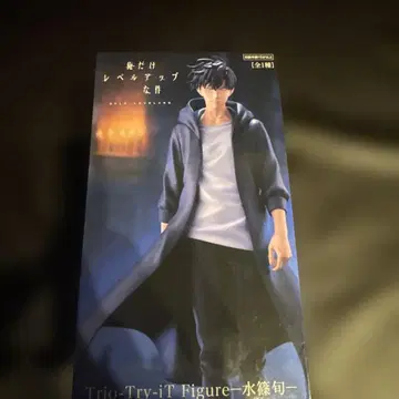 미즈시노 슌 피규어 레벨업 디자인