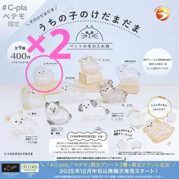 우리 집 강아지 털뭉치 포메라니안 2세트